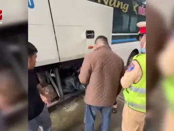 Cận cảnh chặn bắt xe khách vận chuyển hàng loạt cá thể động vật rừng đông lạnh