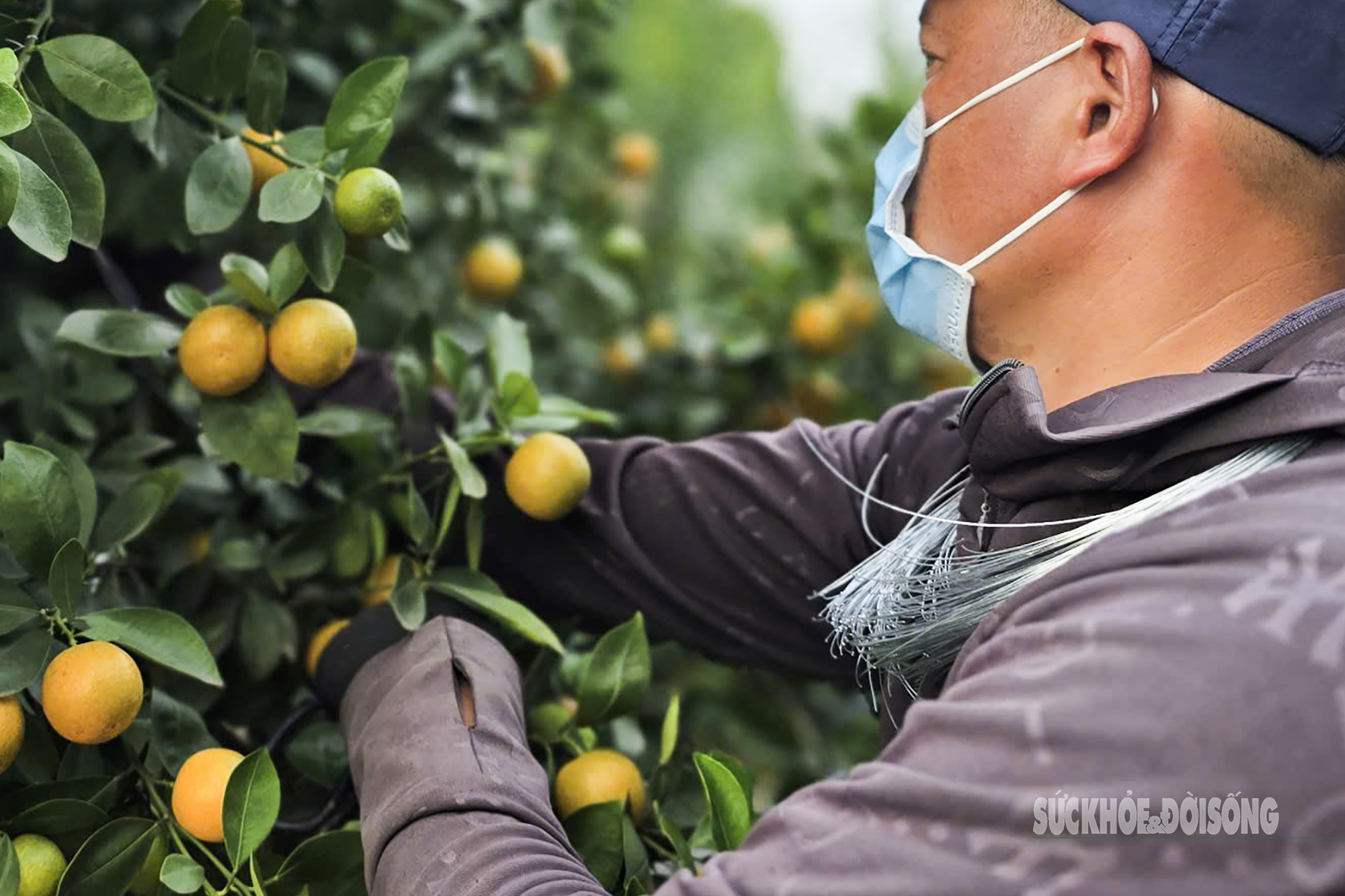 img src/upload/4-2025/images/2025-12-23/1766447423-nguoi-dan-tu-lien-hoi-ha-dua-quat-vao-the-8-93603-width600height901.jpg width660 /