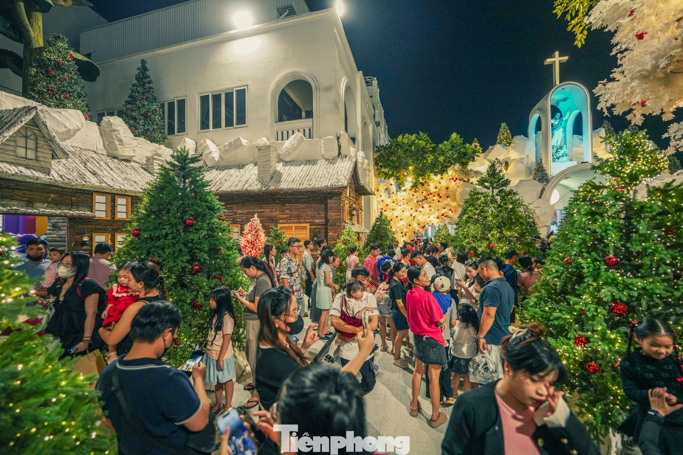 Lạc bước giữa vườn thông phủ tuyết mùa Giáng sinh - 4