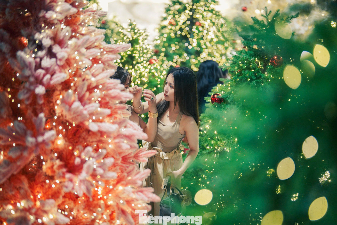 Xen kẽ giữa sắc xanh truyền thống là những cây thông màu hồng, chi tiết phá cách hiếm thấy trong trang trí Giáng sinh tại các giáo xứ ở TP HCM.