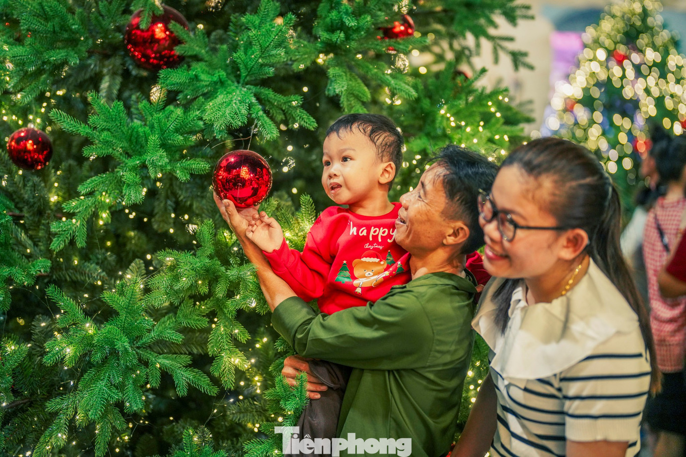 Hàng trăm cây thông lớn nhỏ được bố trí dày đặc, tạo cảm giác không gian trải dài theo triền dốc.