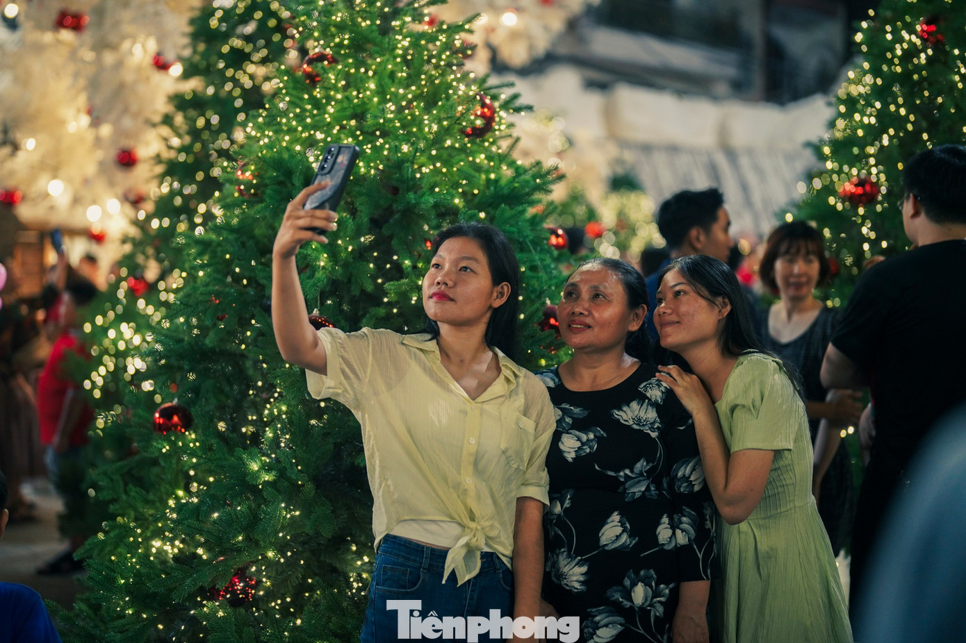 Lạc bước giữa vườn thông phủ tuyết mùa Giáng sinh - 14