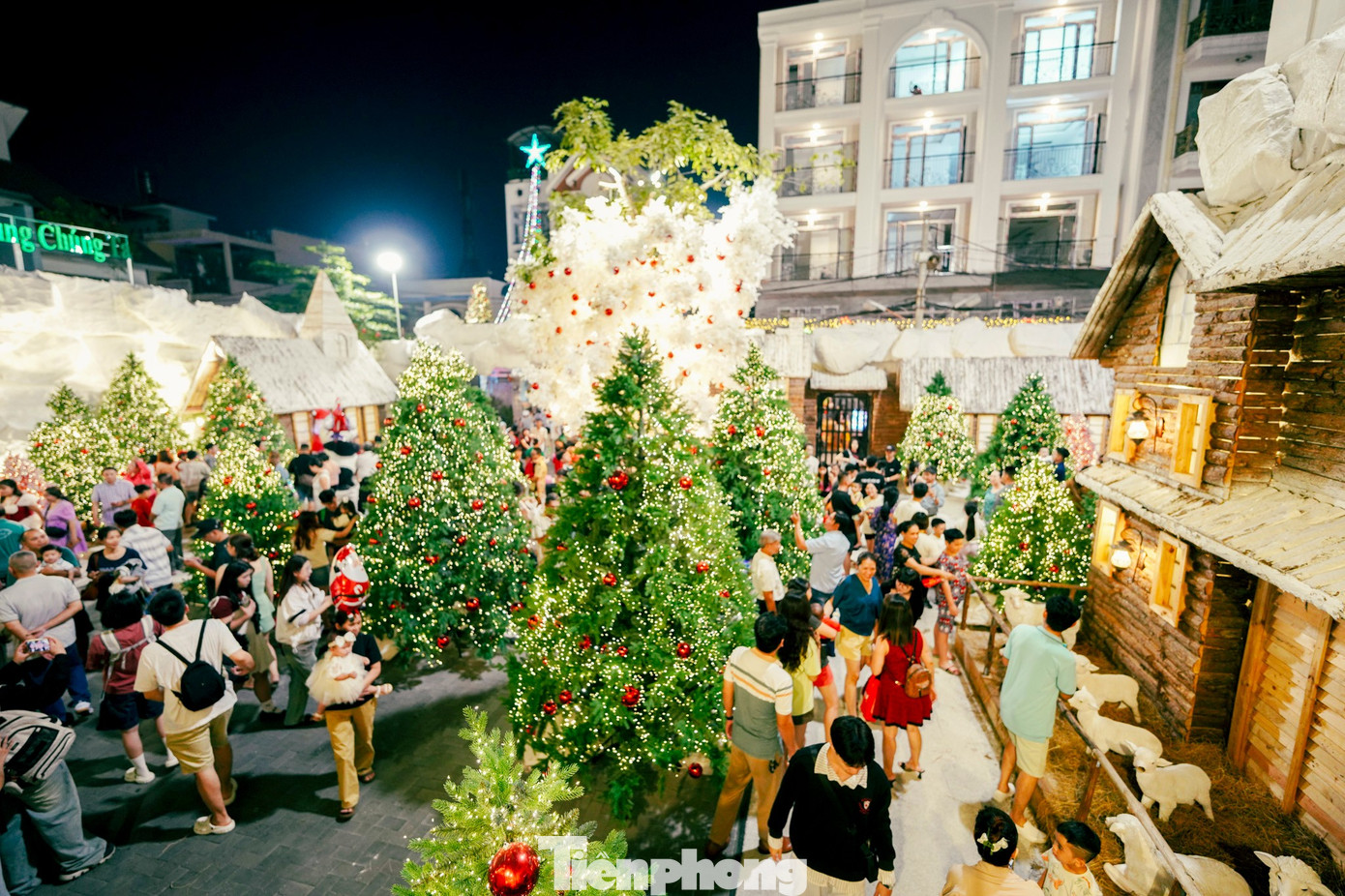 img src/upload/4-2025/images/2025-12-24/1766562156-tp-ld-1-2-width1390height926.jpg width660 /