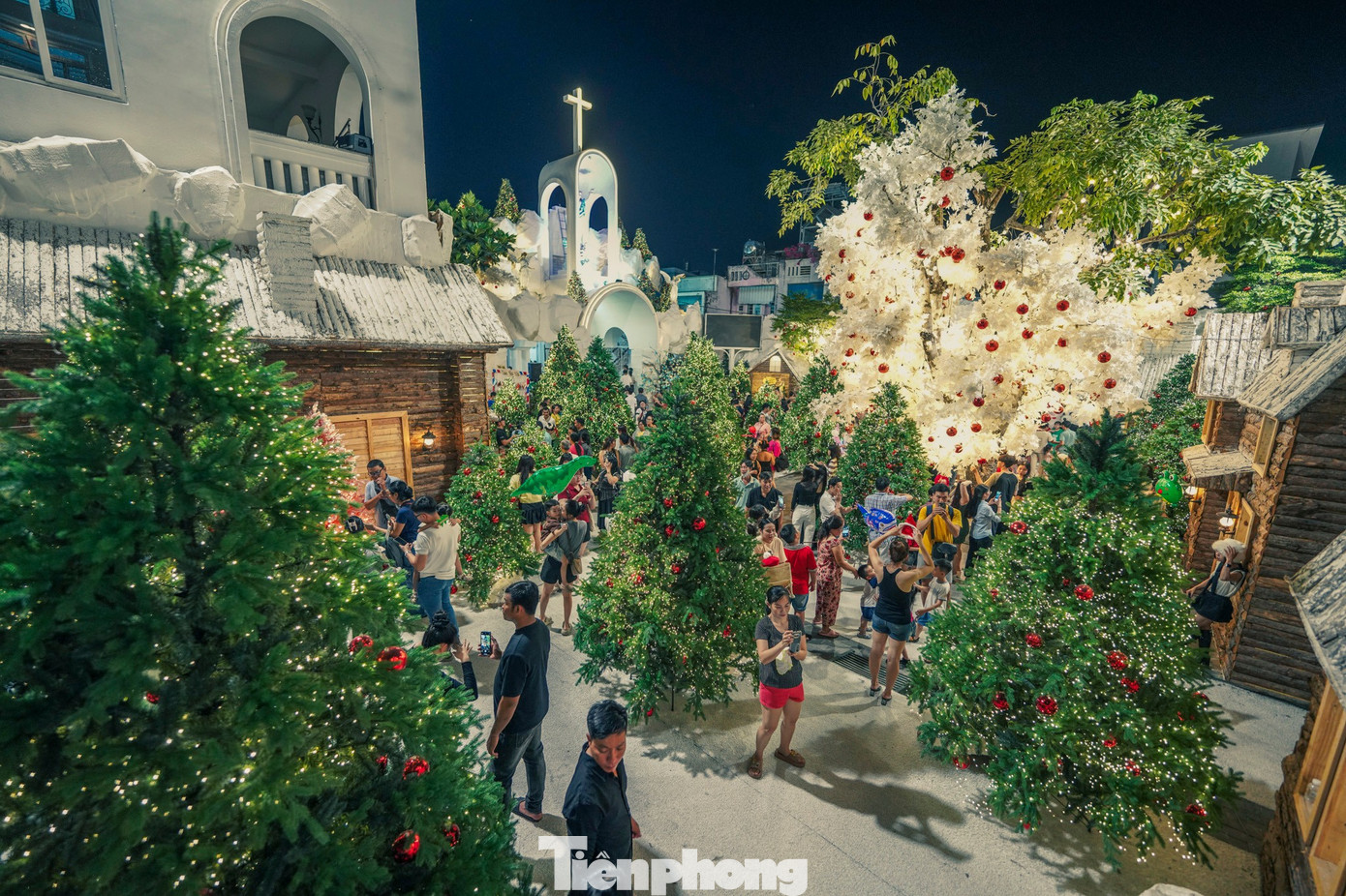 Lạc bước giữa vườn thông phủ tuyết mùa Giáng sinh - 18