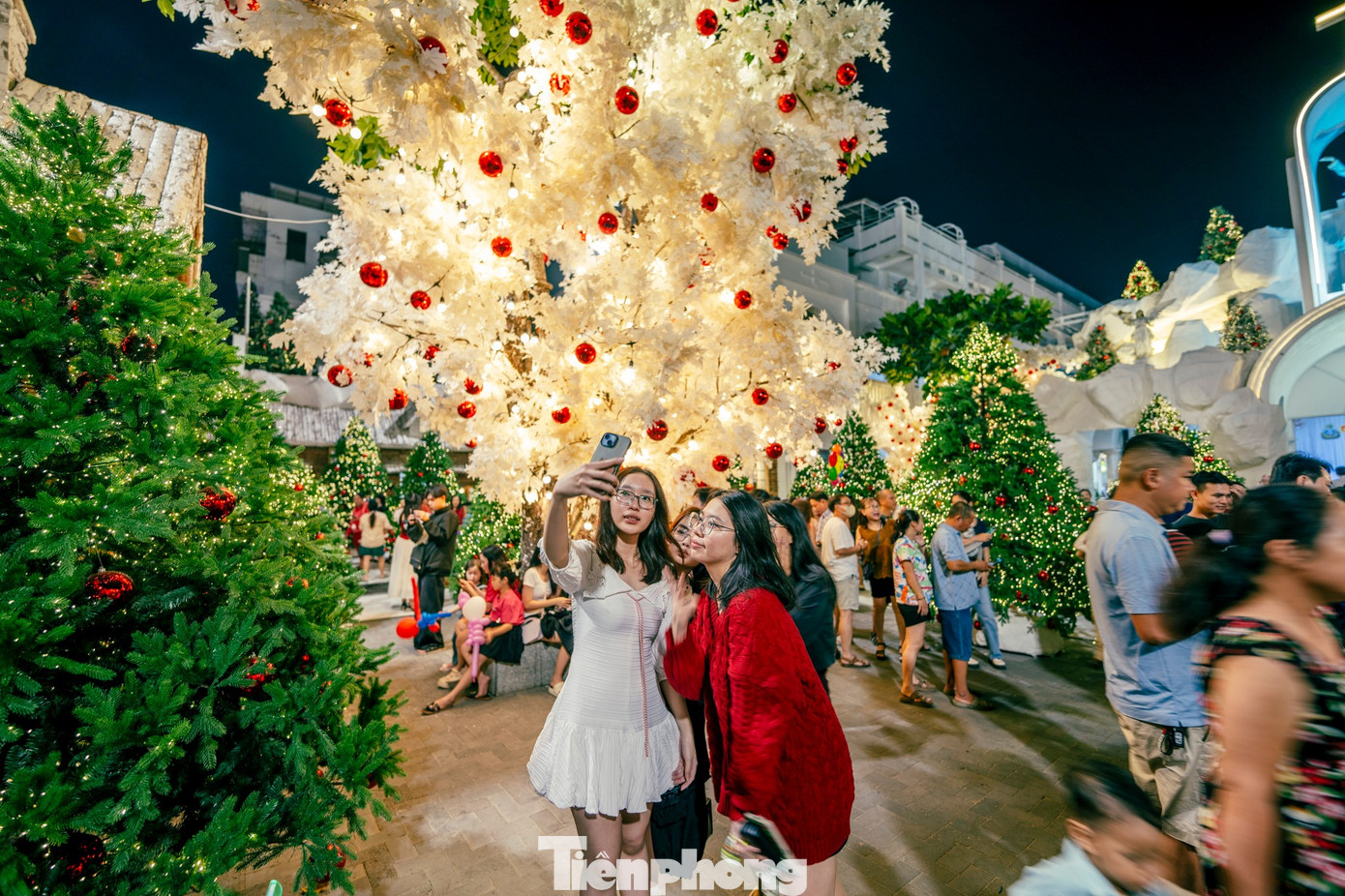 Lạc bước giữa vườn thông phủ tuyết mùa Giáng sinh - 20