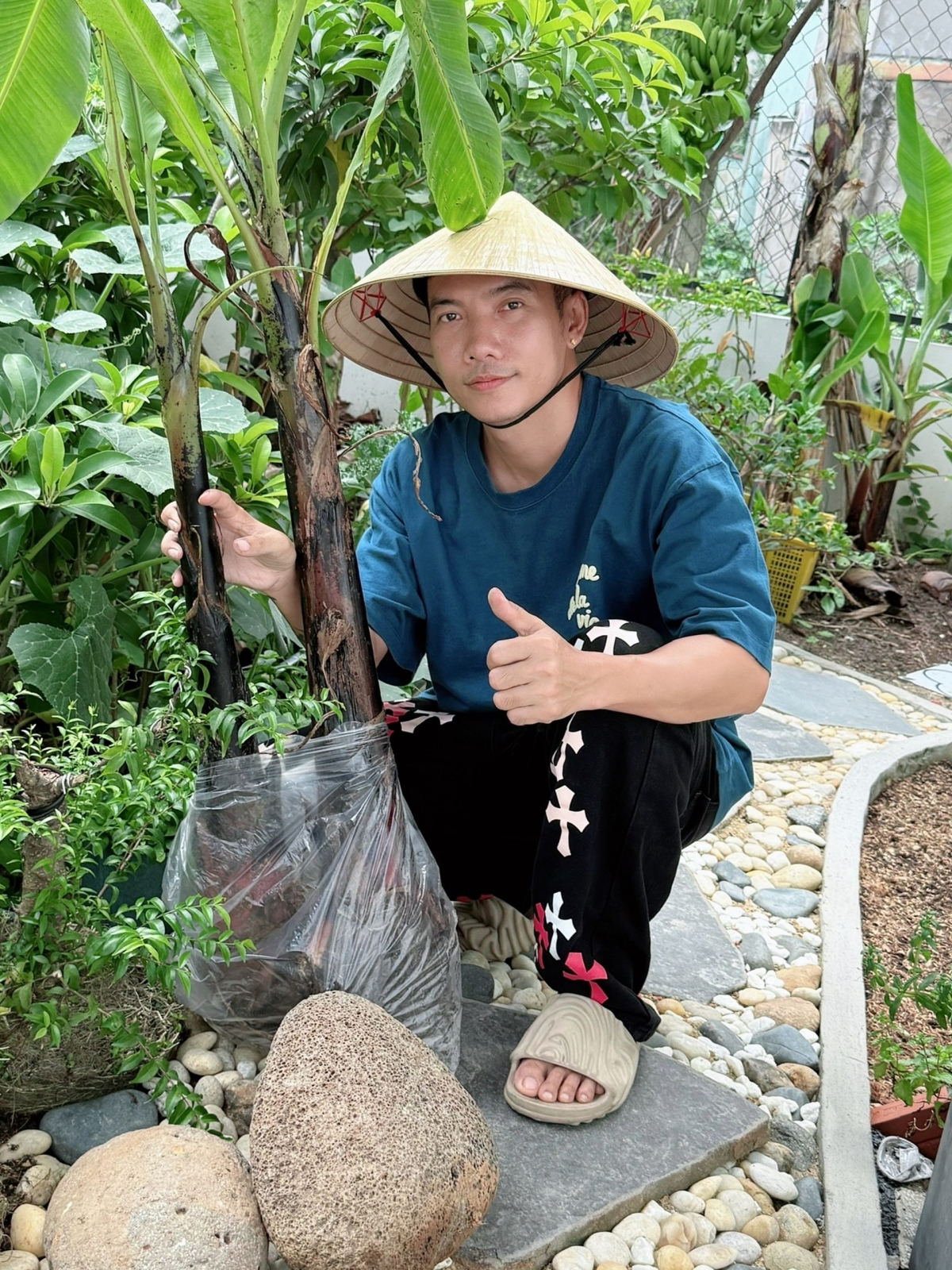 Vườn cây trái 40 m2 trong nhà phố của Phạm Trưởng - 3