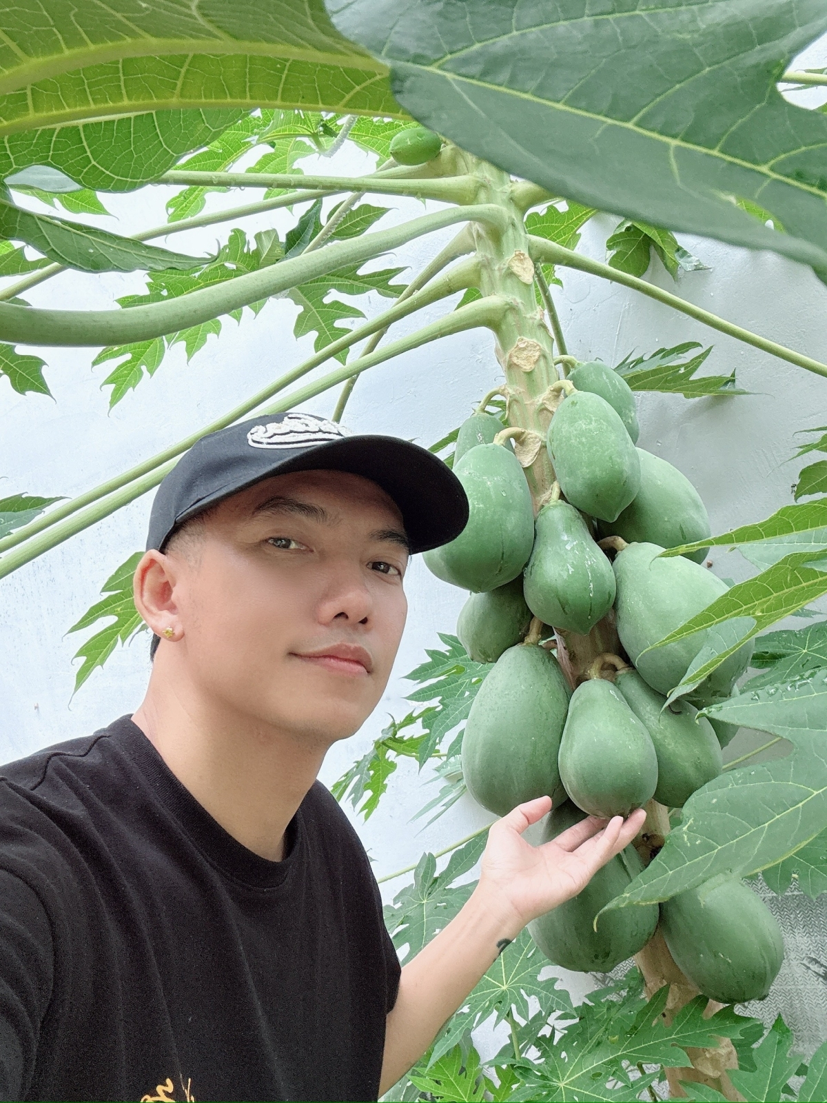 Vườn cây trái 40 m2 trong nhà phố của Phạm Trưởng - 4