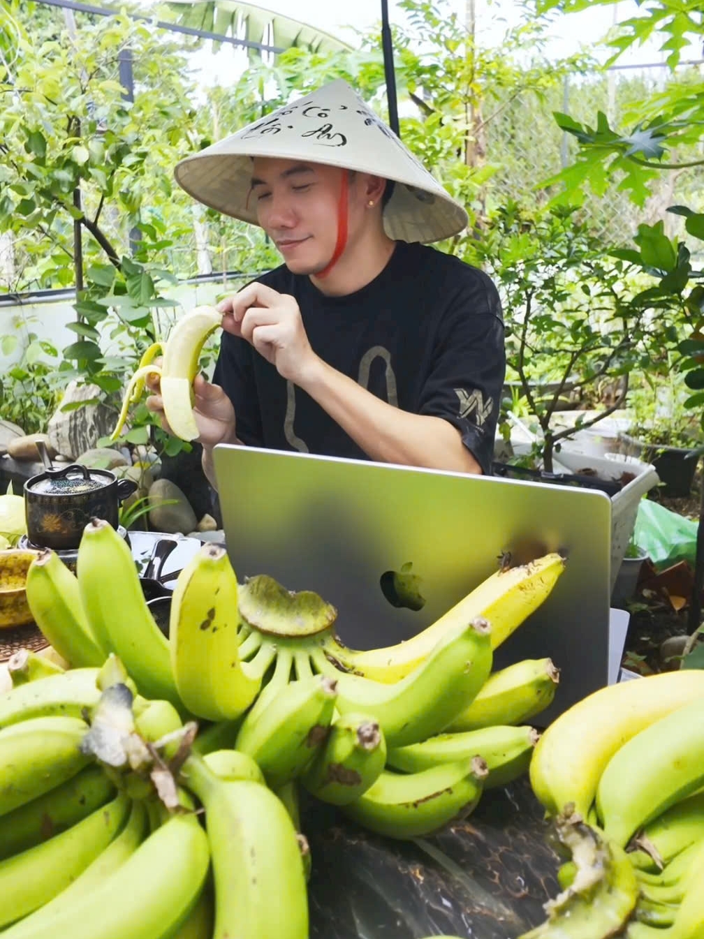 Vườn cây trái 40 m2 trong nhà phố của Phạm Trưởng - 5