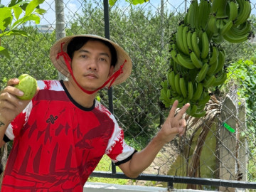 Vườn cây trái 40 m2 trong nhà phố của Phạm Trưởng