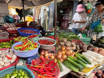 VIDEO: Giá ớt ở TPHCM đắt ngang thịt bò?