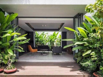 3 loại cây này dù rất đẹp nhưng không nên trồng trước nhà vì ảnh hưởng phong thủy và an toàn gia đình