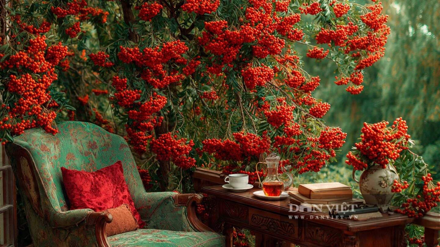 Người xưa cũng c&oacute; nhiều lời khuy&ecirc;n về việc trồng c&acirc;y cảnh trong nh&agrave; hay ngo&agrave;i s&acirc;n vườn. 