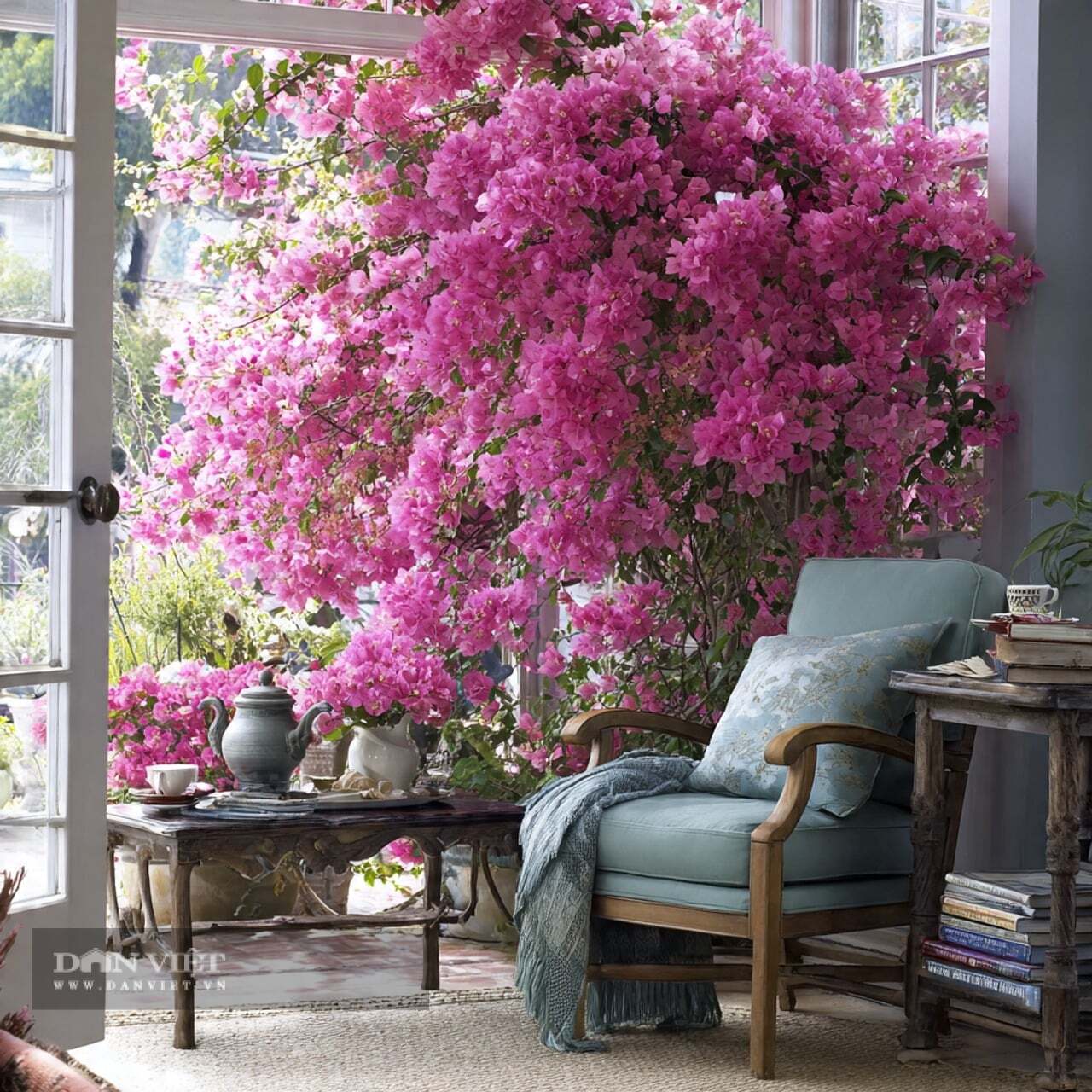 Chọn đúng loại cây cảnh trồng ở ban công mới có thể làm cho ngôi nhà của bạn vừa ấm cúng vừa tốt cho sức khỏe.