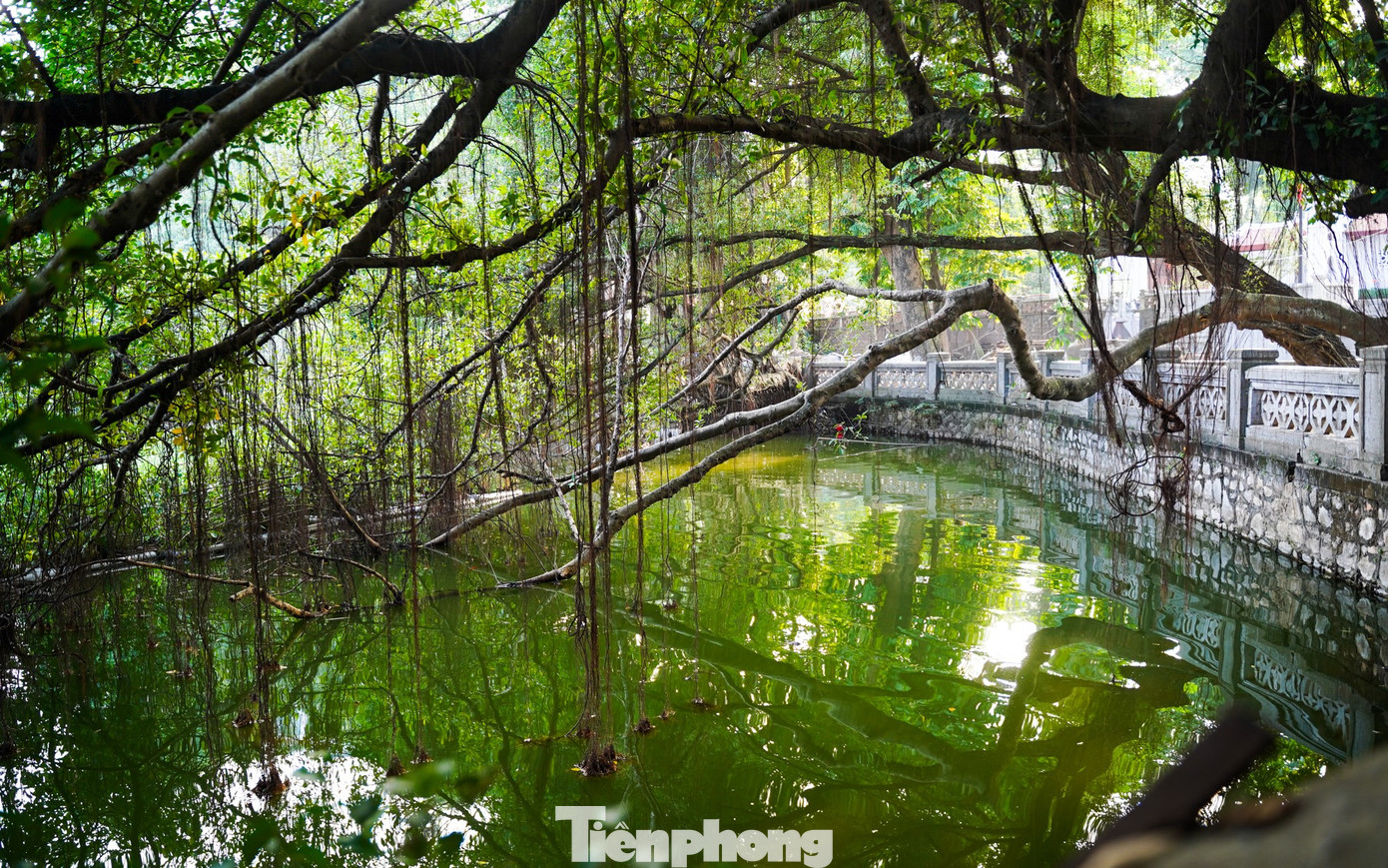 img src/upload/4-2025/images/2025-12-28/1766907385-tp-tienphong-523-width1390height869.jpg width660 /