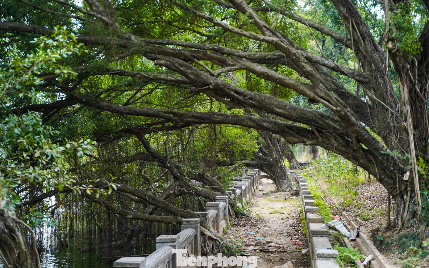 Ngôi đền cổ giữa lòng Hà Nội thành điểm check-in amp;#34;bí mậtamp;#34; của giới trẻ - 9