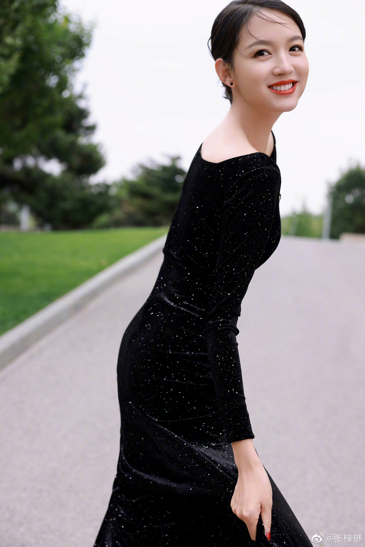 Tử Lâm là người Trung Quốc đầu tiên đoạt ngôi Hoa hậu Thế giới. Sau khi đăng quang, người đẹp hoạt động trong showbiz với vai trò người mẫu, diễn viên, từng đóng Ngạnh hán 2, Bạn gái hồi xuân của tôi. Tử Lâm kết hôn với doanh nhân Nhiếp Lỗi năm 2013, sinh hai con gái.