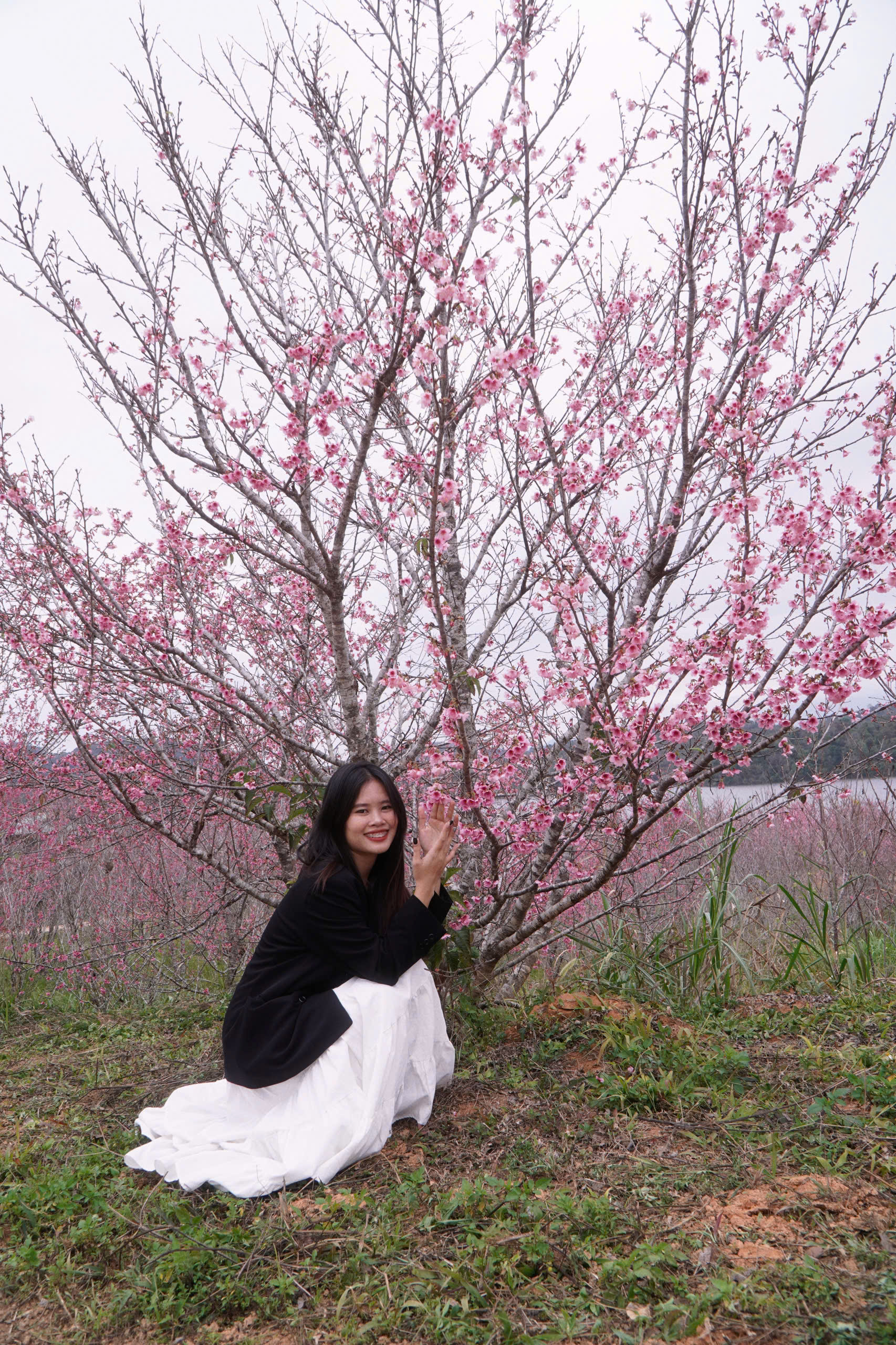 Chị Mỹ Hạnh và chị Hồng Liên, hai du khách từ TPHCM, rất bất ngờ khi hòa mình vào không khí mùa xuân ở Tây Bắc, giữa đảo hoa anh đào ở Mường Phăng