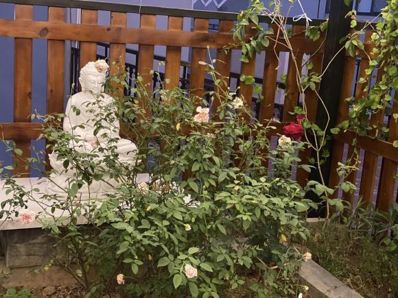 Và được làm theo phong cách khác nhau nhưng đều toát lên sự bình yên.