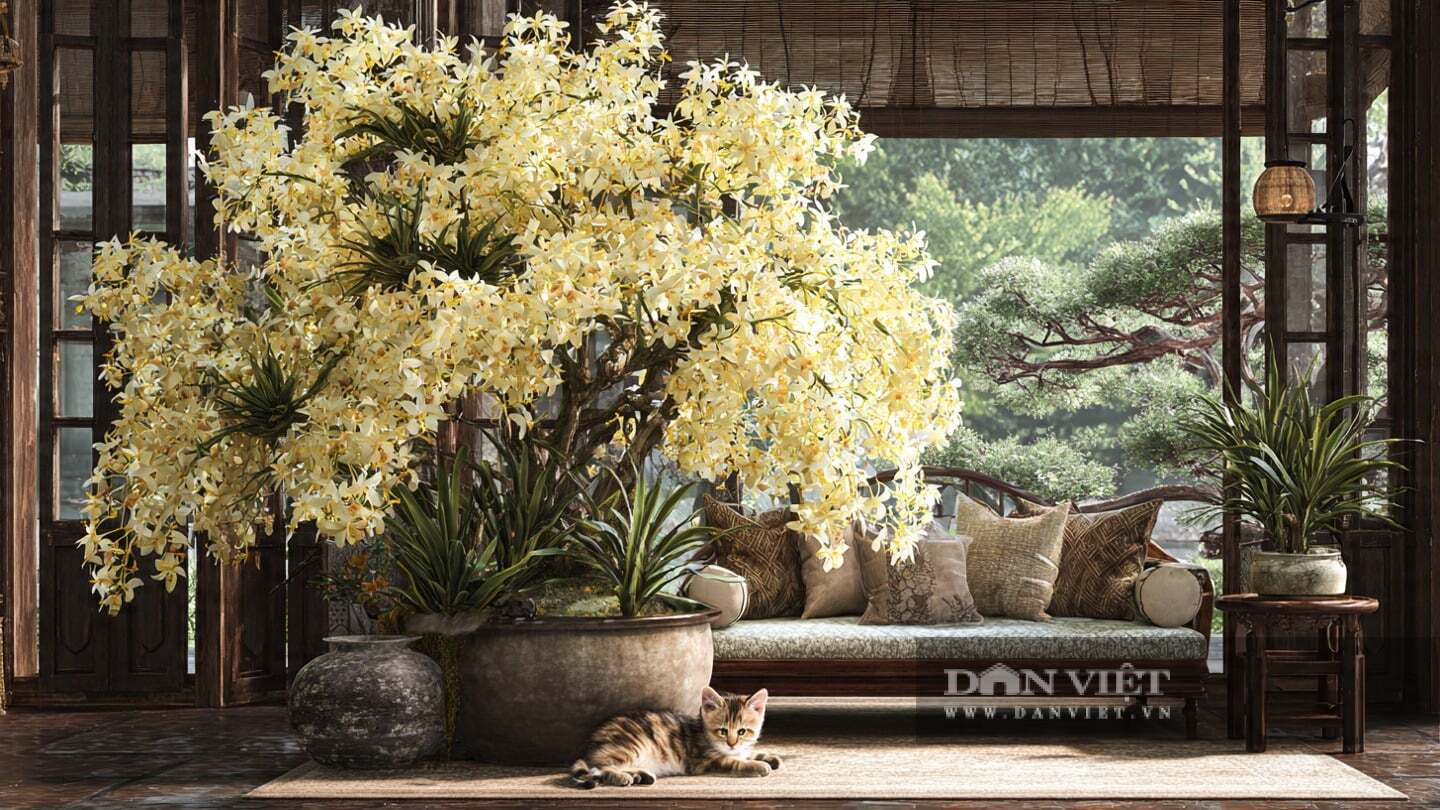 Hoa của cây cảnh này vô cùng thanh lịch, nở thành từng chùm với những màu sắc tinh tế