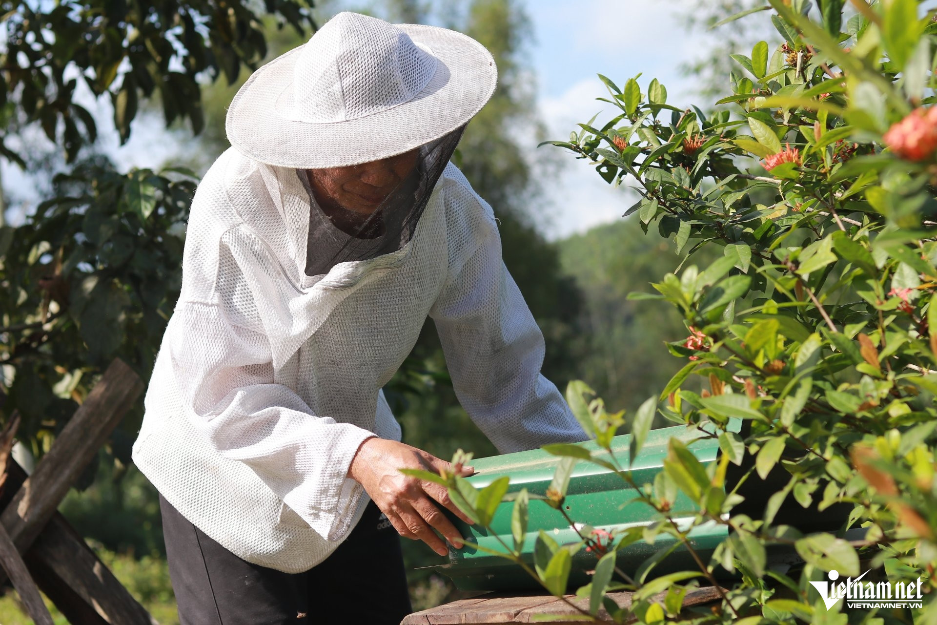 Nghị lực phi thường của người đàn ông mù loà nuôi ong giữa núi rừng Hà Tĩnh - 2