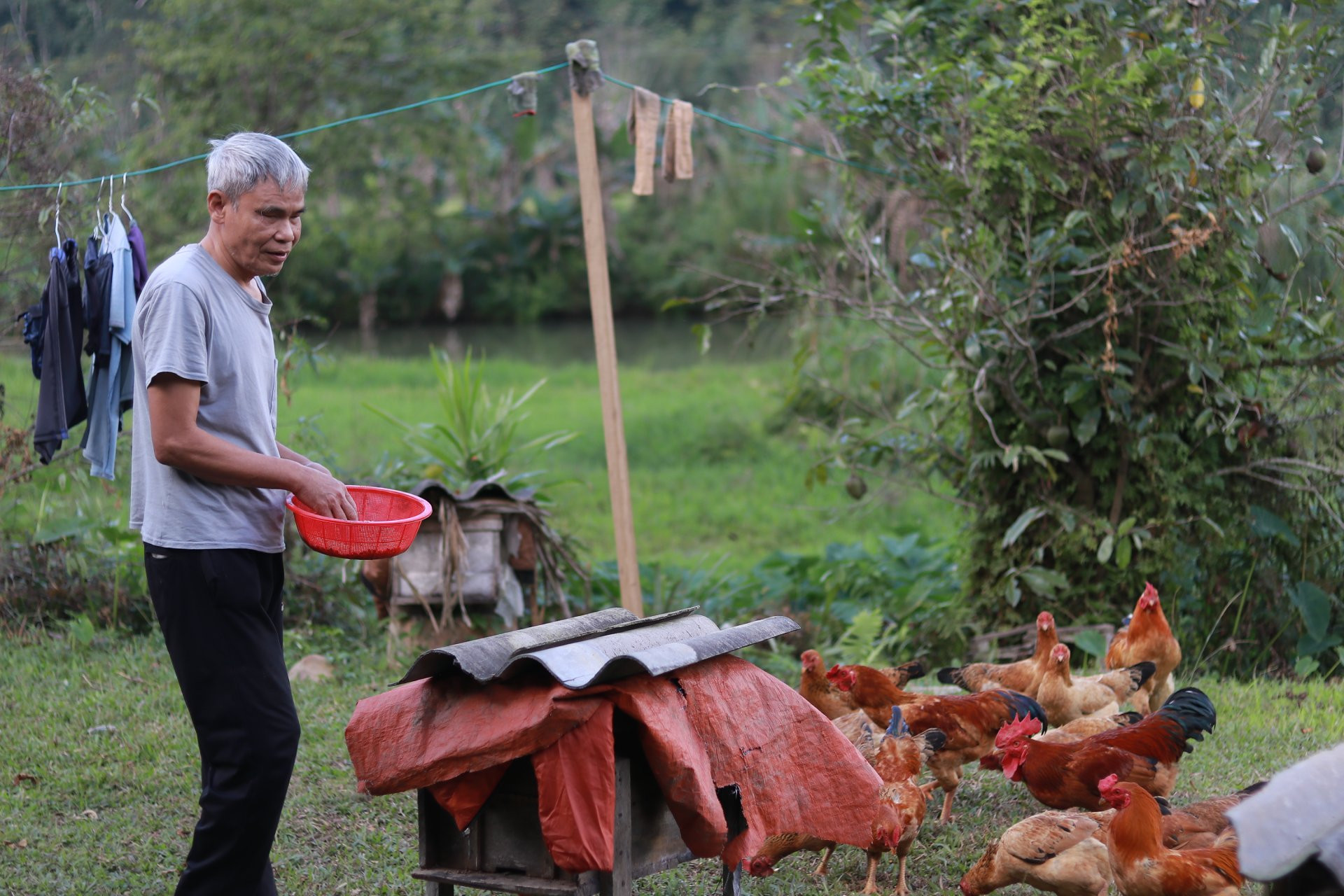 Nghị lực phi thường của người đàn ông mù loà nuôi ong giữa núi rừng Hà Tĩnh - 4