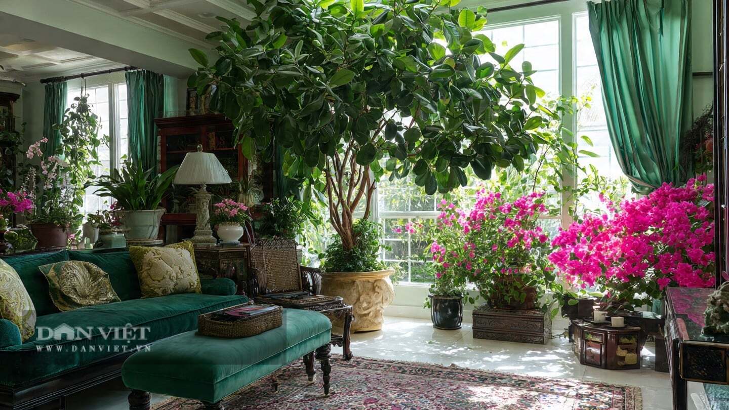 Cây cảnh không phải là chìa khóa làm giàu, nhưng chúng là gia vị của một cuộc sống thượng lưu