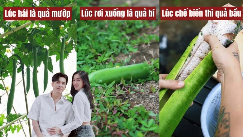 Còn đây chính là màn chế biến gây chú ý cư dân mạng ở vlog trước. Sau khi được hái từ giàn, trái mướp đột nhiên “biến hình” thành quả bí. Từ mướp hóa bí, rồi đột ngột trở thành quả bầu khi được dùng để nhồi cá nướng. Màn chuyển đổi 3 trong 1 khiến cư dân mạng gọi vui là “vlog ảo thuật ẩm thực”.