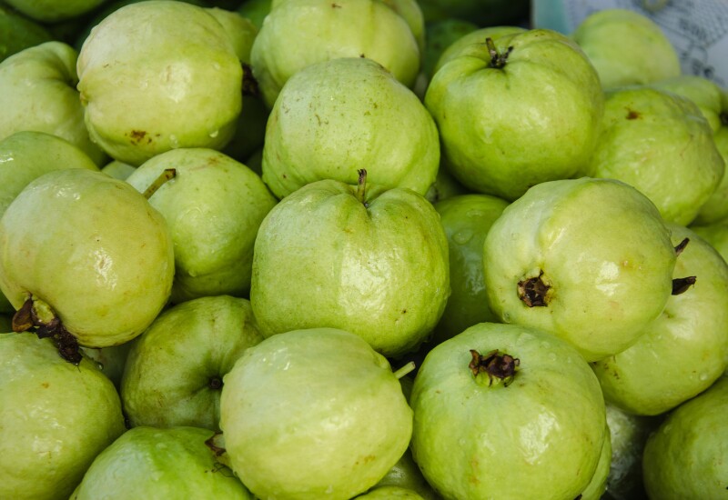 Ổi được mệnh danh là nữ hoàng vitamin C với hàm lượng cao gấp 4 lần cam, giúp kích thích tăng sinh collagen tự nhiên cho làn da săn chắc. Việc duy trì thói quen ăn ổi thường xuyên sẽ giúp làn da bạn trở nên căng bóng, giảm thiểu nếp nhăn và ngăn ngừa lão hóa sớm.