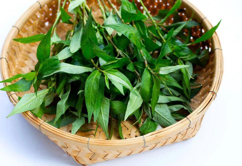 Rau răm có vị cay thơm và đặc tính ấm, thường được sử dụng để hỗ trợ tiêu hóa, giảm đầy hơi và hạn chế tình trạng lạnh bụng sau bữa ăn. Tinh dầu trong rau răm góp phần làm giảm nguy cơ rối loạn tiêu hóa khi ăn hải sản hoặc các món dễ gây lạnh bụng.
