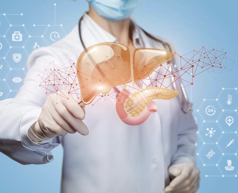 Gan là cơ quan nội tạng lớn và đặc biệt quan trọng đối với cơ thể con người. Vì vậy chăm sóc một lá gan khoẻ sẽ giúp bạn có một sức khoẻ tốt, hạn chế bệnh tật (Ảnh minh hoạ)