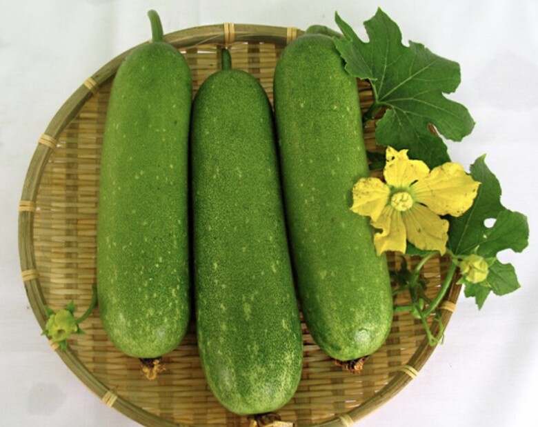 Bí đao được đánh giá là loại rau quả ít ngậm thuốc trừ sâu, chứa hàm lượng dinh dưỡng lớn (Ảnh minh hoạ)