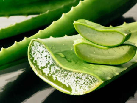 Sức khỏe - 15 loại rau quả "tốt nhất Việt Nam" giúp làn da căng mướt, bán đầy chợ Việt với giá rẻ bèo, từ 5.000 đồng là mua được