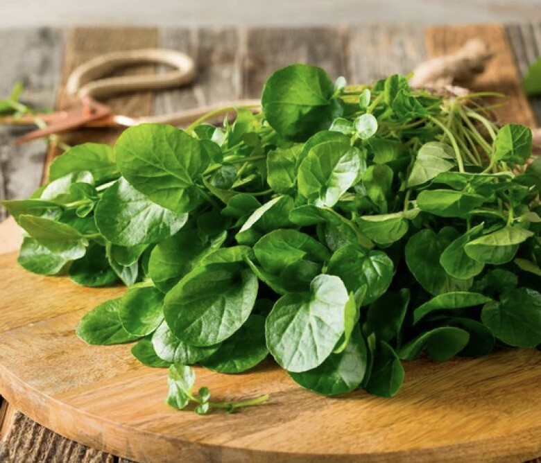 Cải xoong ᵭứng ᵭầu danh sách loại rau tṓt cho sức khoẻ do CDC Mỹ cȏng bṓ (Ảnh minh hoạ)