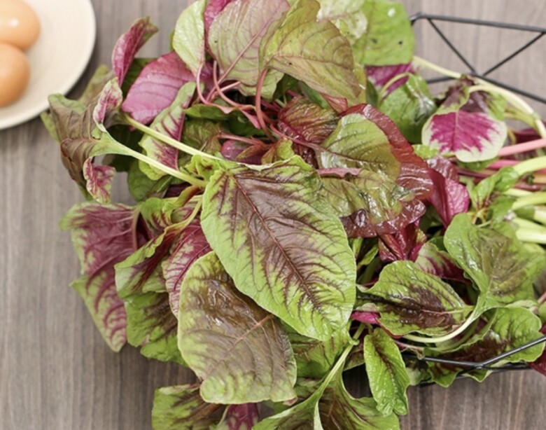 Lá rau dền và củ dền đều mang lại những lợi ích dinh dưỡng tuyệt vời cho sức khoẻ (Ảnh minh hoạ)