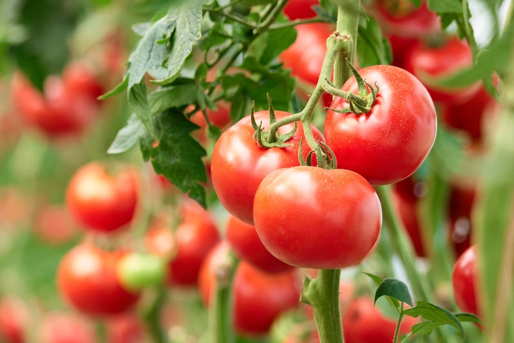 Nam giới có thể làm amp;#34;chuyện ấyamp;#34; đến khi nào? - 4