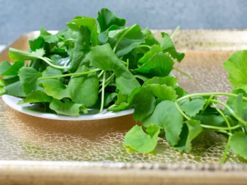 Ăn một mớ rau này tốt ngang thịt bò, được ví như nhân sâm của người nghèo, ở quê mọc um tùm ngoài bờ ruộng