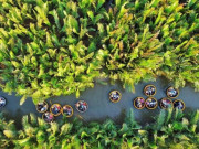 Lifestyle - Ngôi làng duy nhất Việt Nam lọt top 20 làng đẹp nhất thế giới: Cảnh sắc như cổ tích, du khách đến "chữa lành" 3 ngày chưa chán