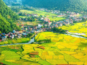Lifestyle - Ngôi làng độc nhất Việt Nam: Cả làng chung một họ, nằm giữa “thung lũng vàng”, lọt top làng du lịch tốt nhất thế giới