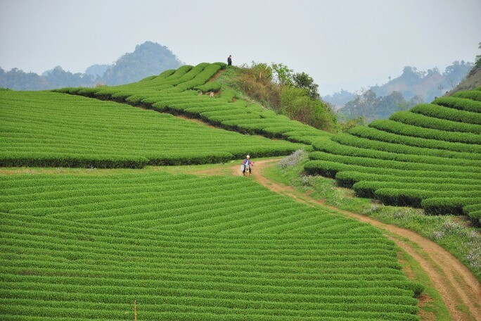 1764128863 682 Thumbnail Width1572Height1048