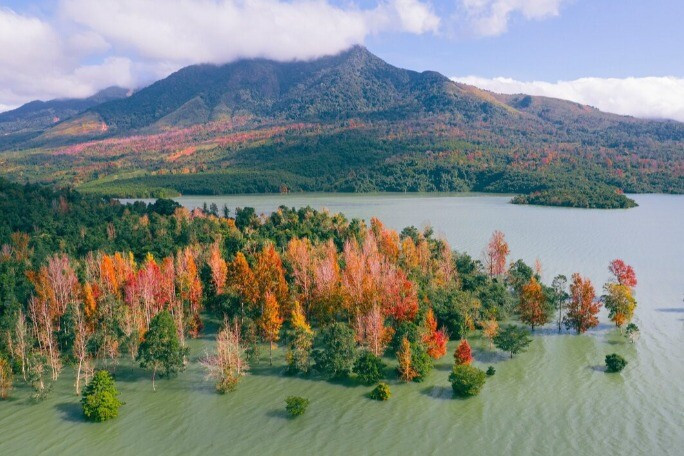 1764129872 225 Thumbnail Width1061Height707