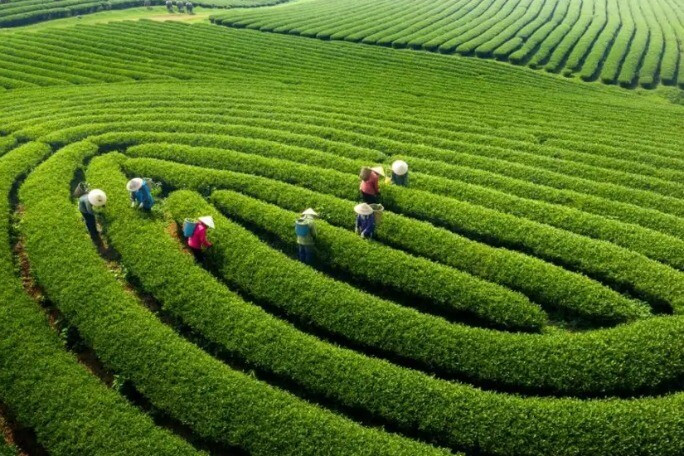 1766160140 6 Thumbnail Width825Height550