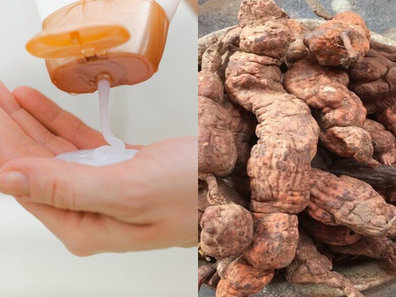 Dầu gội chứa chiết xuất hà thủ ô có thể giúp giảm gãy rụng và hỗ trợ tóc mọc dày hơn.