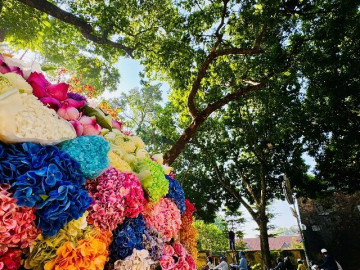 Thành phố duy nhất ở Việt Nam lọt top điểm đến đẹp nhất châu Á vào mùa thu, lãng mạn chẳng kém Hàn Quốc hay Nhật Bản