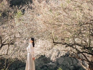 Miền Bắc có điểm đến được giải "Oscar của du lịch" gọi tên 3 lần: Cách Hà Nội 170km, khách đổ xô đến vào mùa đông