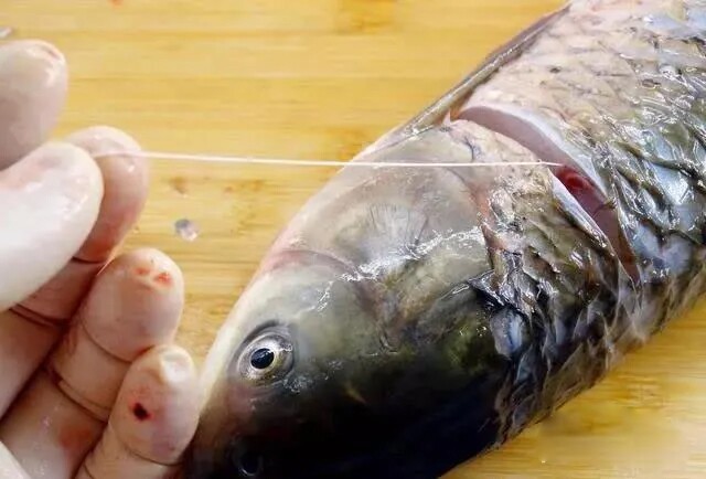 Cá rất tanh nhưng chỉ cần rút sợi dây này thì mùi tanh mất ngay lập tức, tha hồ nấu đủ món ngon - 2