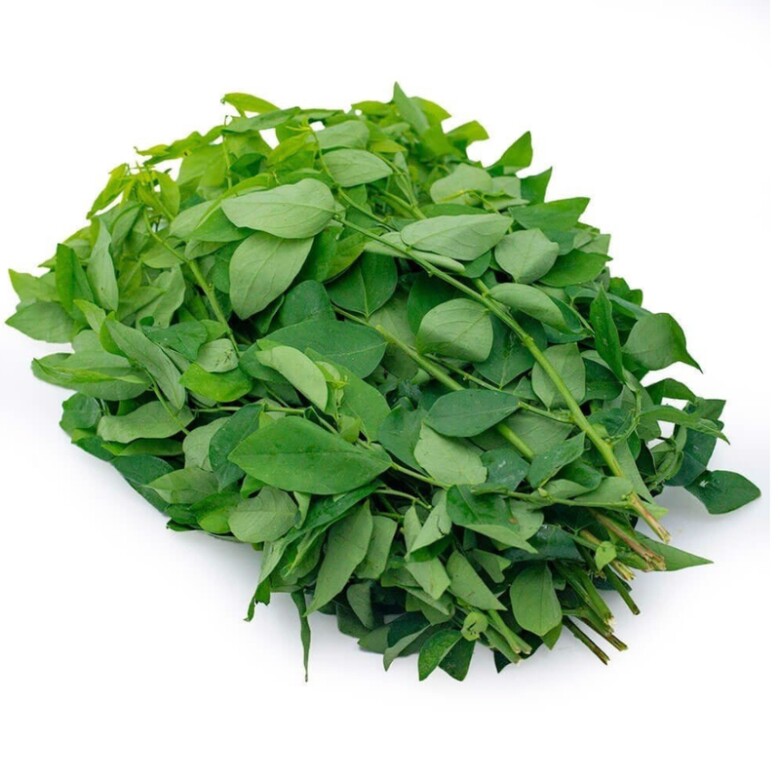 Cây này trồng chỉ lấy lá, vitamin C gấp 45 lần rau thường, nấu canh trứng cực lạ nhưng siêu ngon - 1