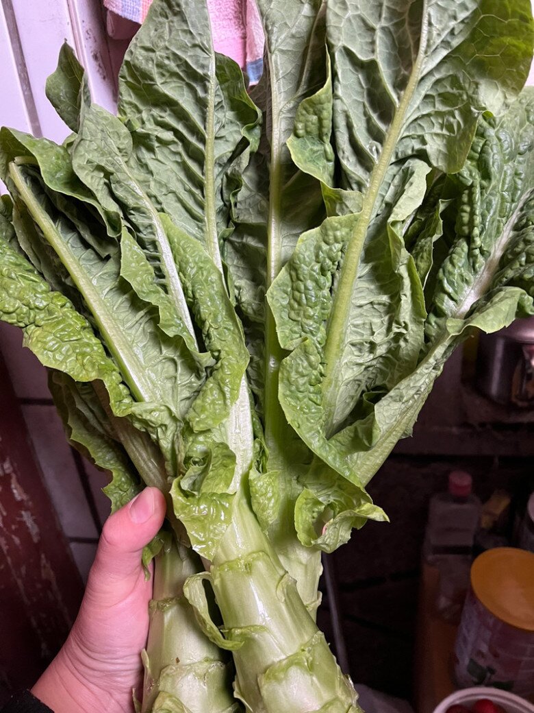 Cȃy này tưởng chỉ ăn lá, ai ngờ thȃn cũng cực ngon, ᵭem xào món giàu canxi lại trȏi cơm vȏ cùng - 1