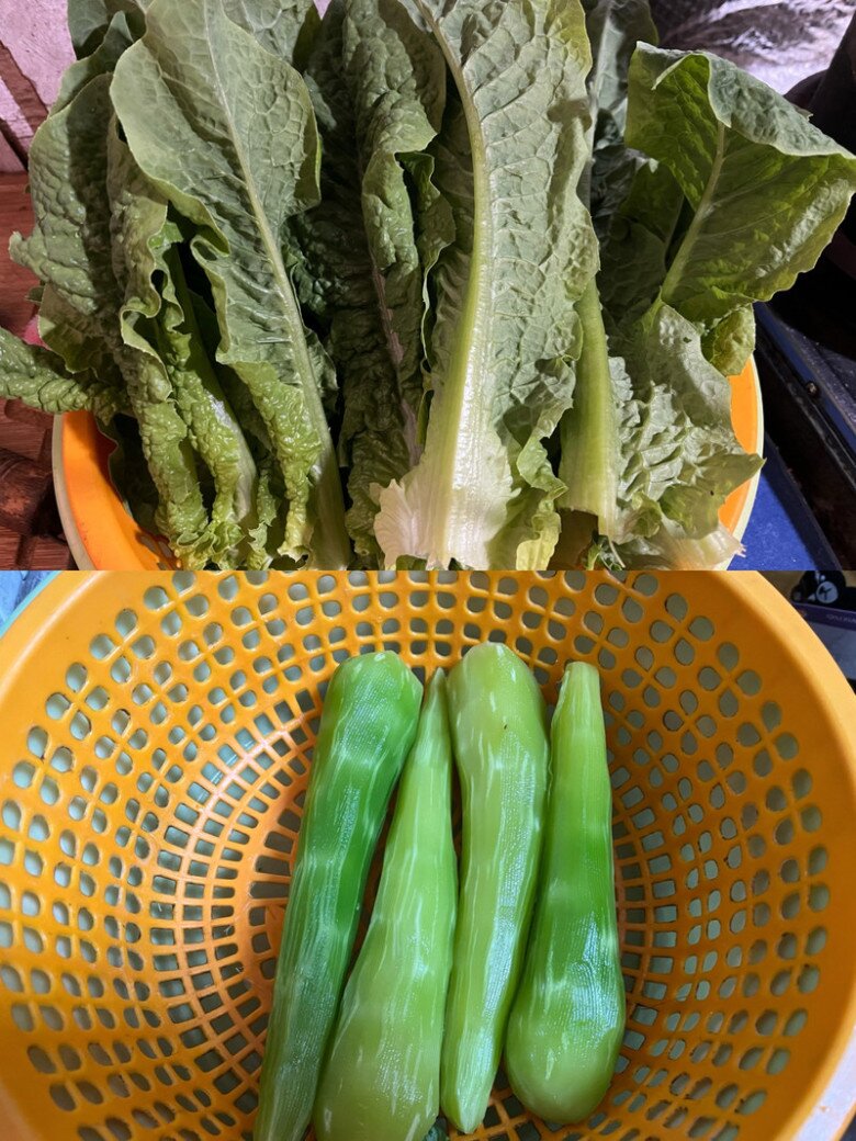 Cȃy này tưởng chỉ ăn lá, ai ngờ thȃn cũng cực ngon, ᵭem xào món giàu canxi lại trȏi cơm vȏ cùng - 2