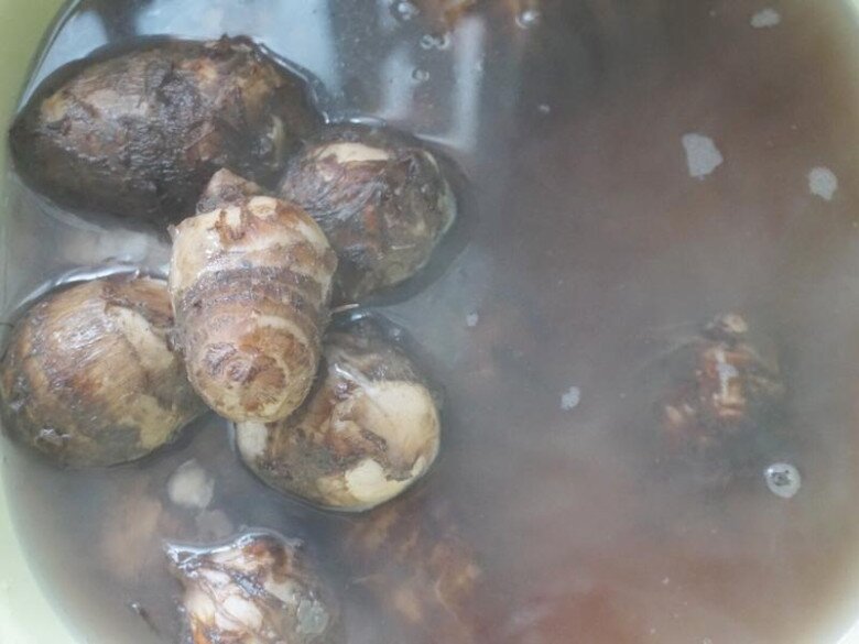 Củ này có giá 25.000đ/kg, người Nhật gọi là “củ trường sinh”, nấu lên thơm bở thịt chẳng ngon bằng - 1