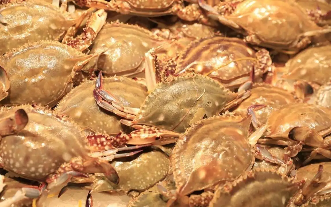 Hóa ra bao nhiêu năm nay chúng ta đều làm sai! 4 loại thực phẩm này không chỉ rửa bằng nước, càng rửa càng bẩn - 1